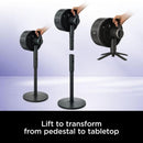 Shark FlexBreeze Portable Fan | FA220UK Shark Euronics.ie